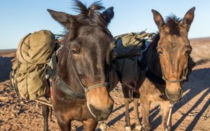 Bitcoin Mules Flood China as OTC Cryptocurrency Trading Flourishes